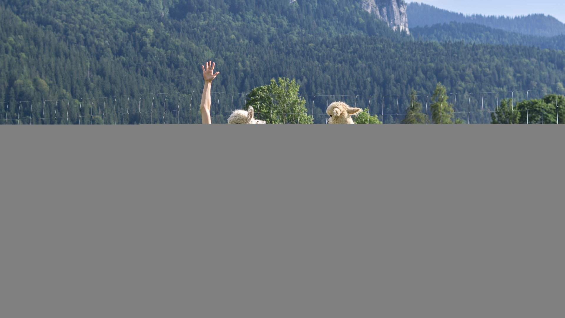NK_KeyVisual_Alpaka Yoga © Stefanie Pfeiler_036, © DER TEGERNSEE