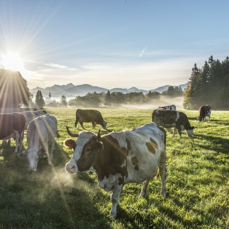 Thomas Plettenberg 03, &copy; Der Tegernsee (Thomas Plettenberg)