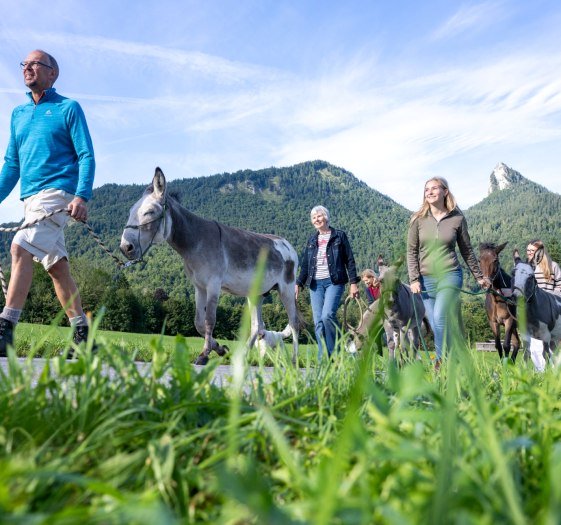 Eselwanderung 003, &copy; Der Tegernsee (Thomas Plettenberg)