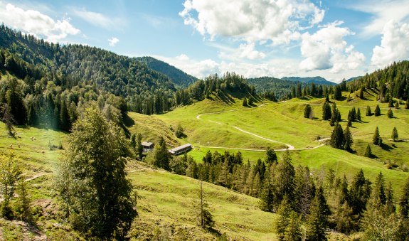 ttt_0820_szm_aktiv_koenigsalm_kreuth-0249, © DER TEGERNSEE - Sabine Ziegler Musiol