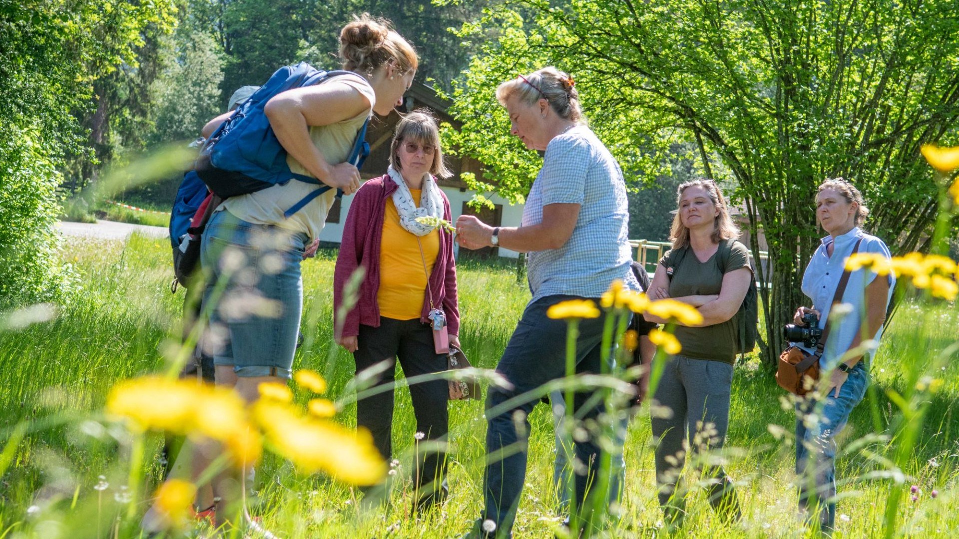 Kräuterwanderung, © Der Tegernsee (Thomas Plettenberg) Kräuterwanderung, © Der Tegernsee (Thomas Plettenberg)