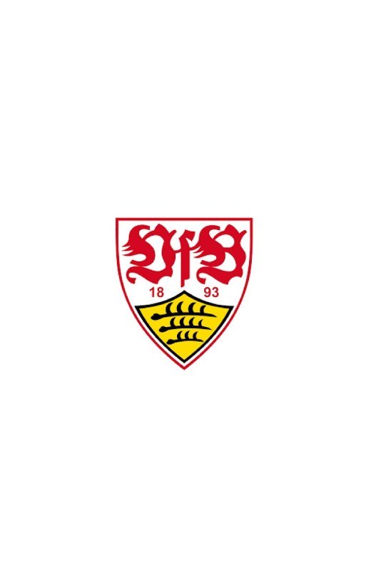 VfB Stuttgart1
