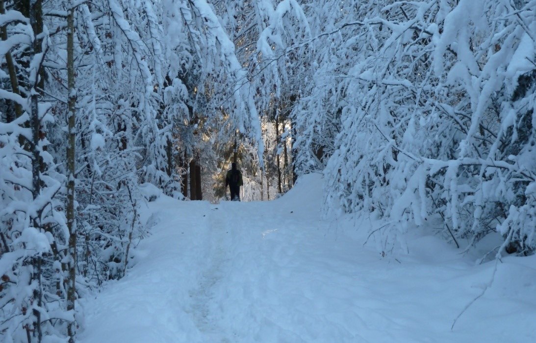 Schneeschuhtour mit Sonntagsbrunch im historischen Hasen&ouml;hrlhof, &copy; BR Willy Kravanja