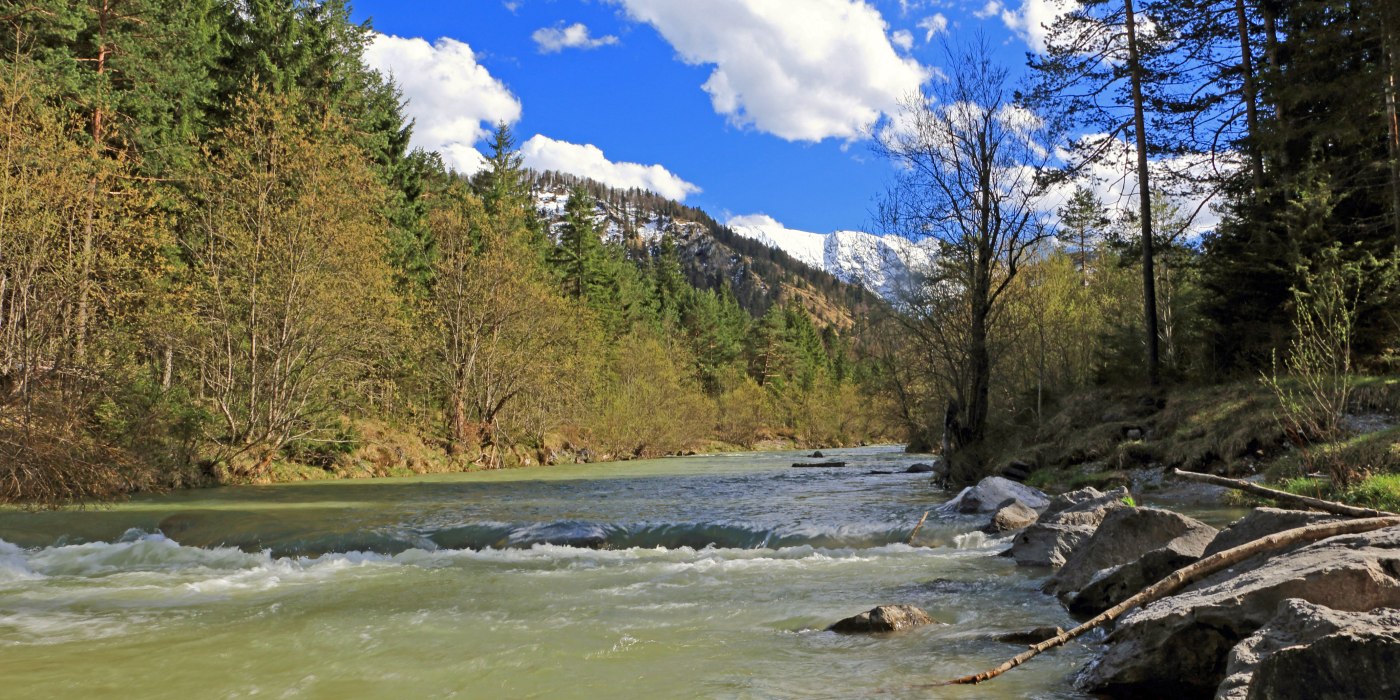 20170502-088-weissachmit-blauberg, &copy; H&ouml;rth_Ludwig