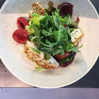 Haubentaucher Haubentaucher