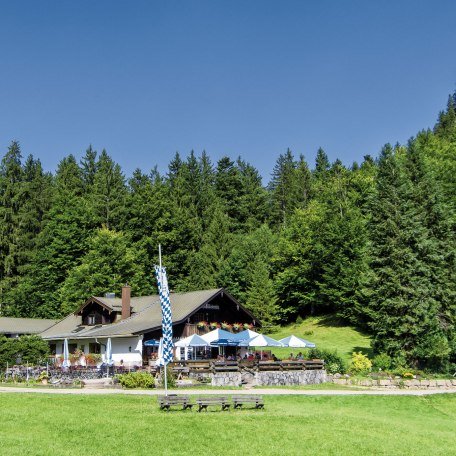 galaun001, &copy; Thomas M&uuml;ller