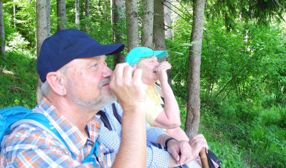 Wasserfallrunde2 &Uuml;bung, &copy; Sabine Nagl