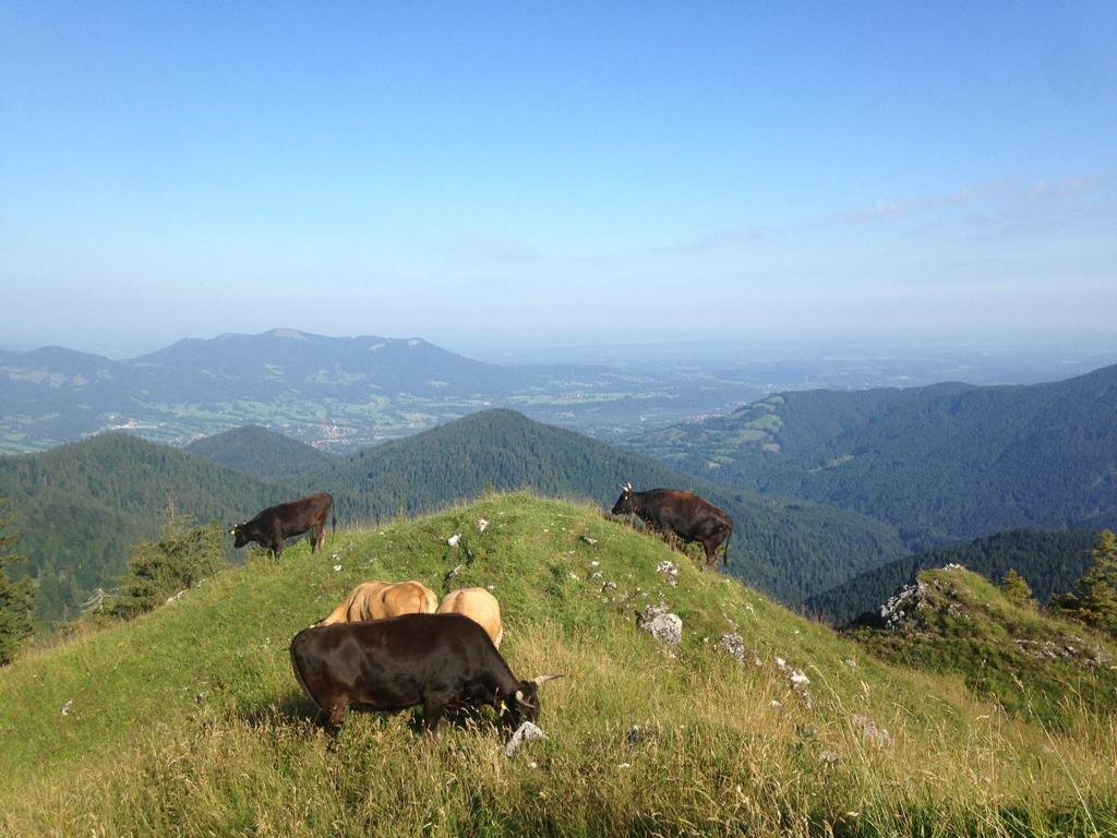 Sperrhof EKF, © Daniel Delang Sperrhof EKF, © Daniel Delang