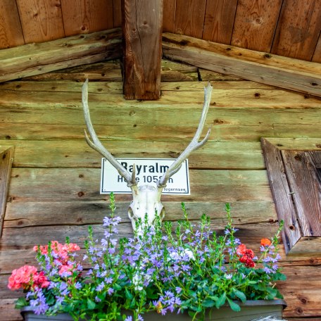 Bayralm Kreuth, &copy; DER TEGERNSEE