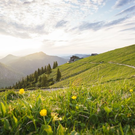 Gipfelglück am Hirschberg, Landschaft Frühling Hirschberg, © Dietmar Denger