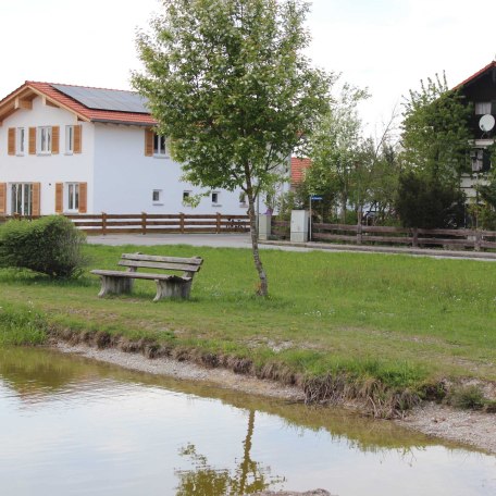 Der Weiher mit Enten, Fischen und Fröschen, © im-web.de/ Gemeinde Waakirchen-Schaftlach