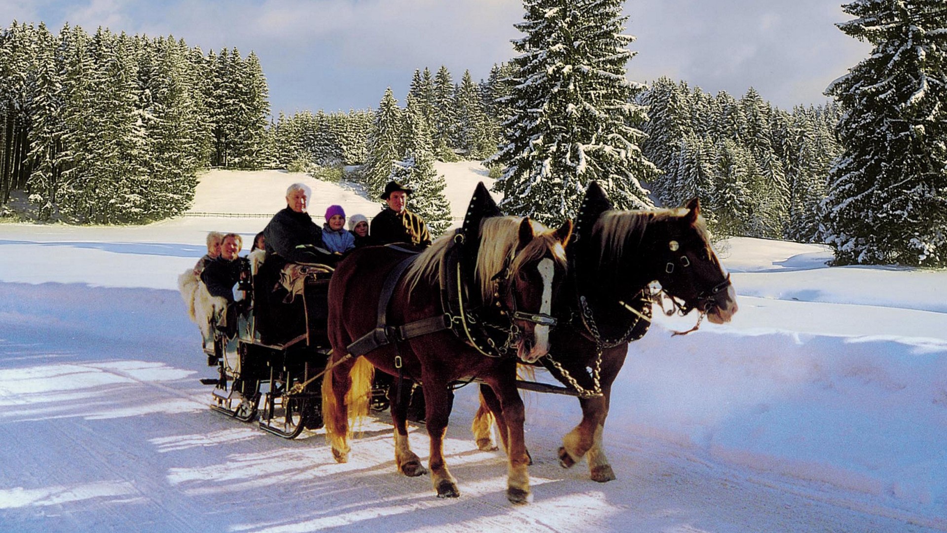 pferdekutsche_maier_quer pferdekutsche_maier_quer