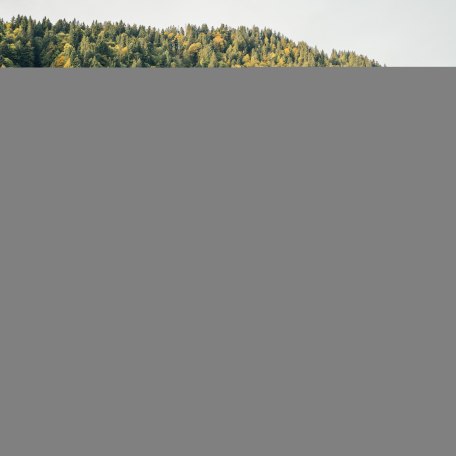 NK_KeyVisual_Musi Schwarzentenn Alm © Julian Rohn_0011, © DER TEGERNSEE