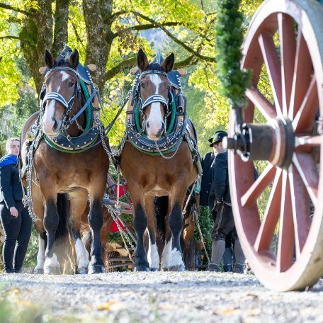 TTT_1124_TP_Brauchtum_Leonhardi_Kreuth_0082, © Thomas Plettenberg