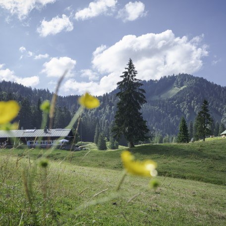 Das Bergsteigerdorf Kreuth hat sich zum Erhalt von Natur und Landschaft verpflichtet sowie zur Bewahrung der Tradition und des Brauchtums. In der Bergsteigerdorf Zeitung werden Einheimische, regionale Betriebe und naturnahe Aktivitäten beleuchtet, welche diesem Grundsatz nachgehen und dem Bergsteigerdorf seinen Glanz verleihen. 