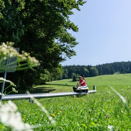 Sommerrodelbahn 2, © Der Tegernsee Pfeiler Sommerrodelbahn 2, © Der Tegernsee Pfeiler