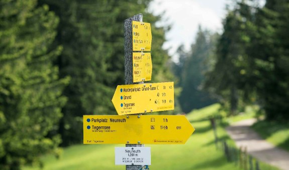 Zwischen Gindelalm und Neureuth, © Alpenregion Tegernsee Schliersee Zwischen Gindelalm und Neureuth, © Alpenregion Tegernsee Schliersee