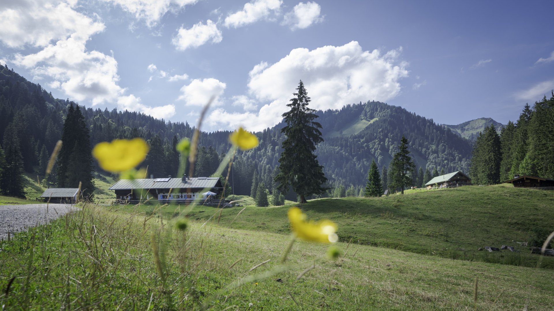 Das Bergsteigerdorf Kreuth hat sich zum Erhalt von Natur und Landschaft verpflichtet sowie zur Bewahrung der Tradition und des Brauchtums. In der Bergsteigerdorf Zeitung werden Einheimische, regionale Betriebe und naturnahe Aktivitäten beleuchtet, welche diesem Grundsatz nachgehen und dem Bergsteigerdorf seinen Glanz verleihen. 