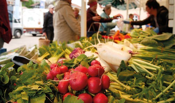 Gmunder Wochen- und Bauernmarkt EKF