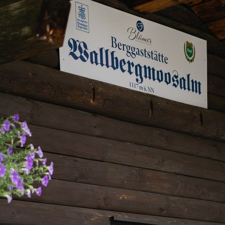 TTT_0721_StP_Tradition_MusikdrehALUIS_031, &copy; TTT- Thomas Plettenberg