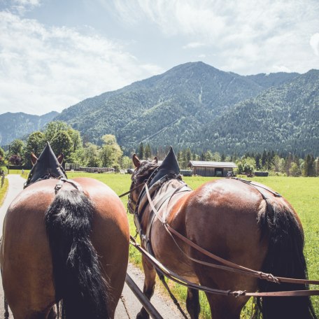 TTT_0619_MM_Brauchtum_Pferdekutschenfahrt_Rottach-0005, &copy; DER TEGERNSEE