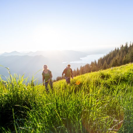 Wallberg Hiking , © Hansi Heckmair