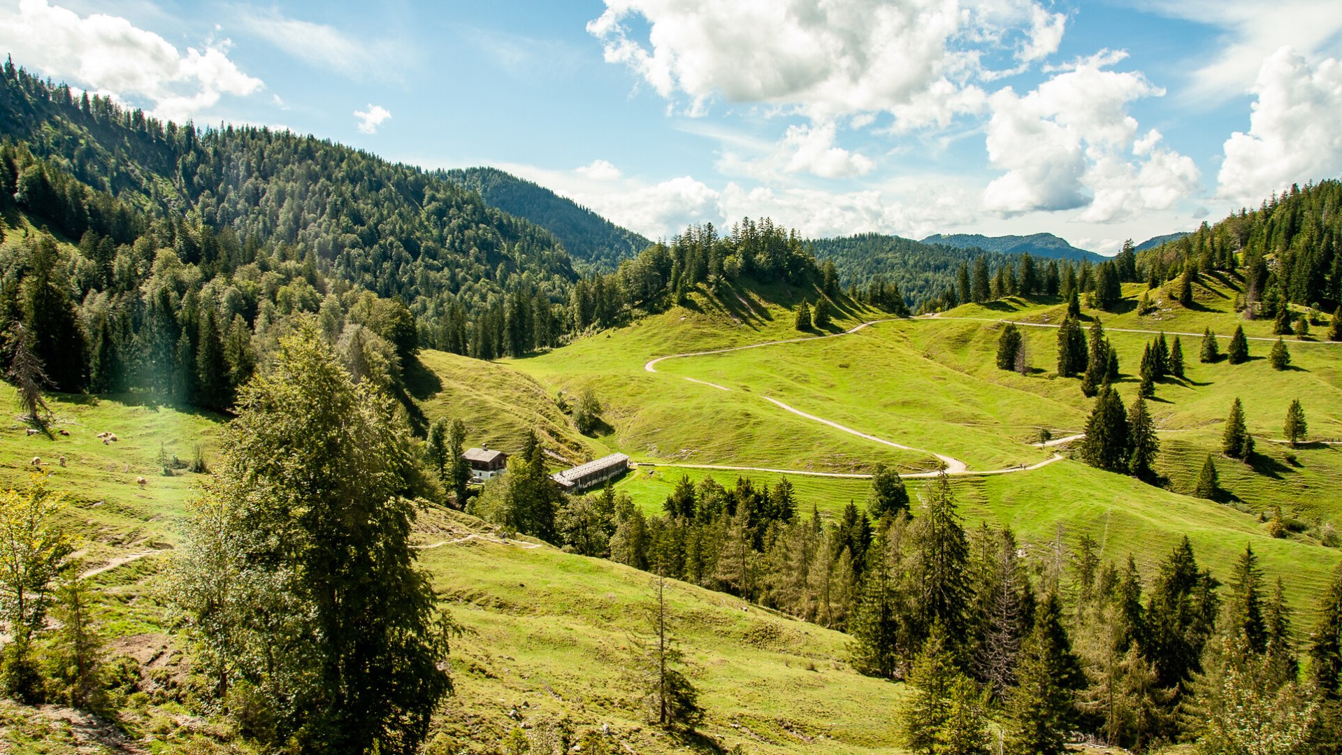 ttt_0820_szm_aktiv_koenigsalm_kreuth-0249, © DER TEGERNSEE - Sabine Ziegler Musiol