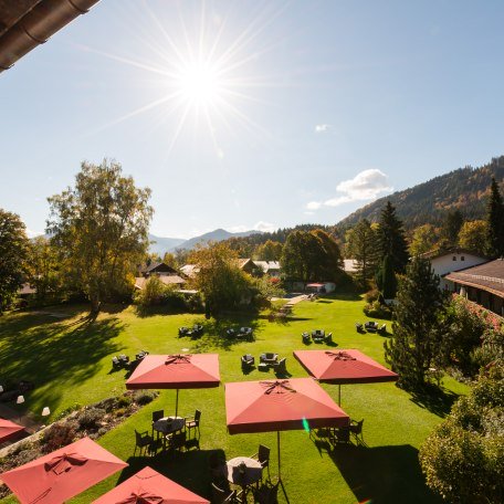 blick-in-den-garten blick-in-den-garten