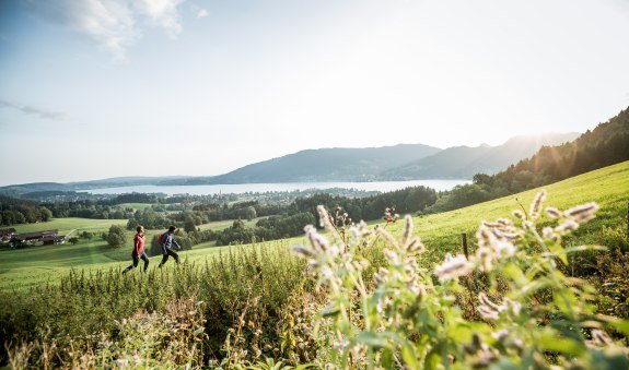 Leichte Wanderung im Heilklima, &copy; Der Tegernsee - Heckmaier