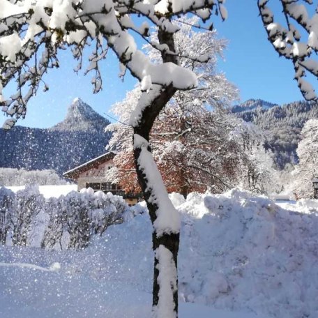 Garten, &copy; im-web.de/ Tourist-Information Kreuth