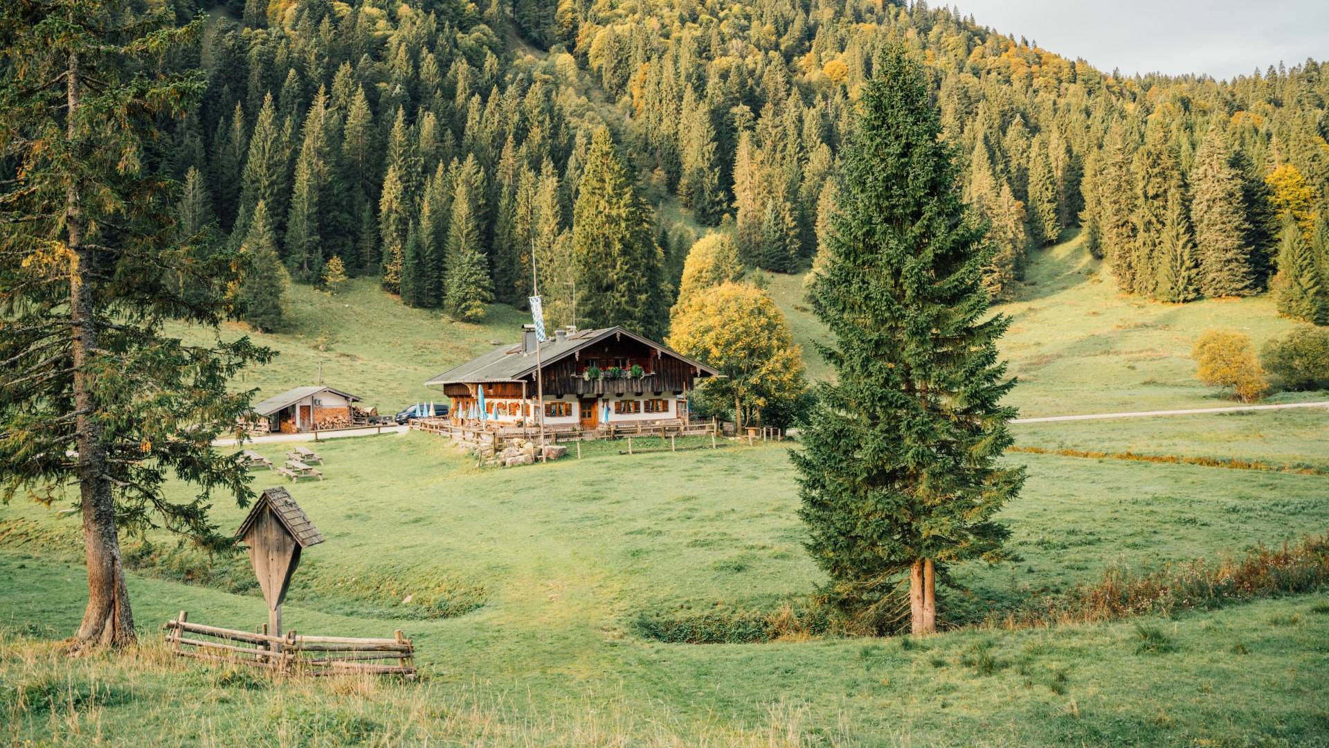 NK_KeyVisual_Musi Schwarzentenn Alm © Julian Rohn_0011, © DER TEGERNSEE NK_KeyVisual_Musi Schwarzentenn Alm © Julian Rohn_0011, © DER TEGERNSEE