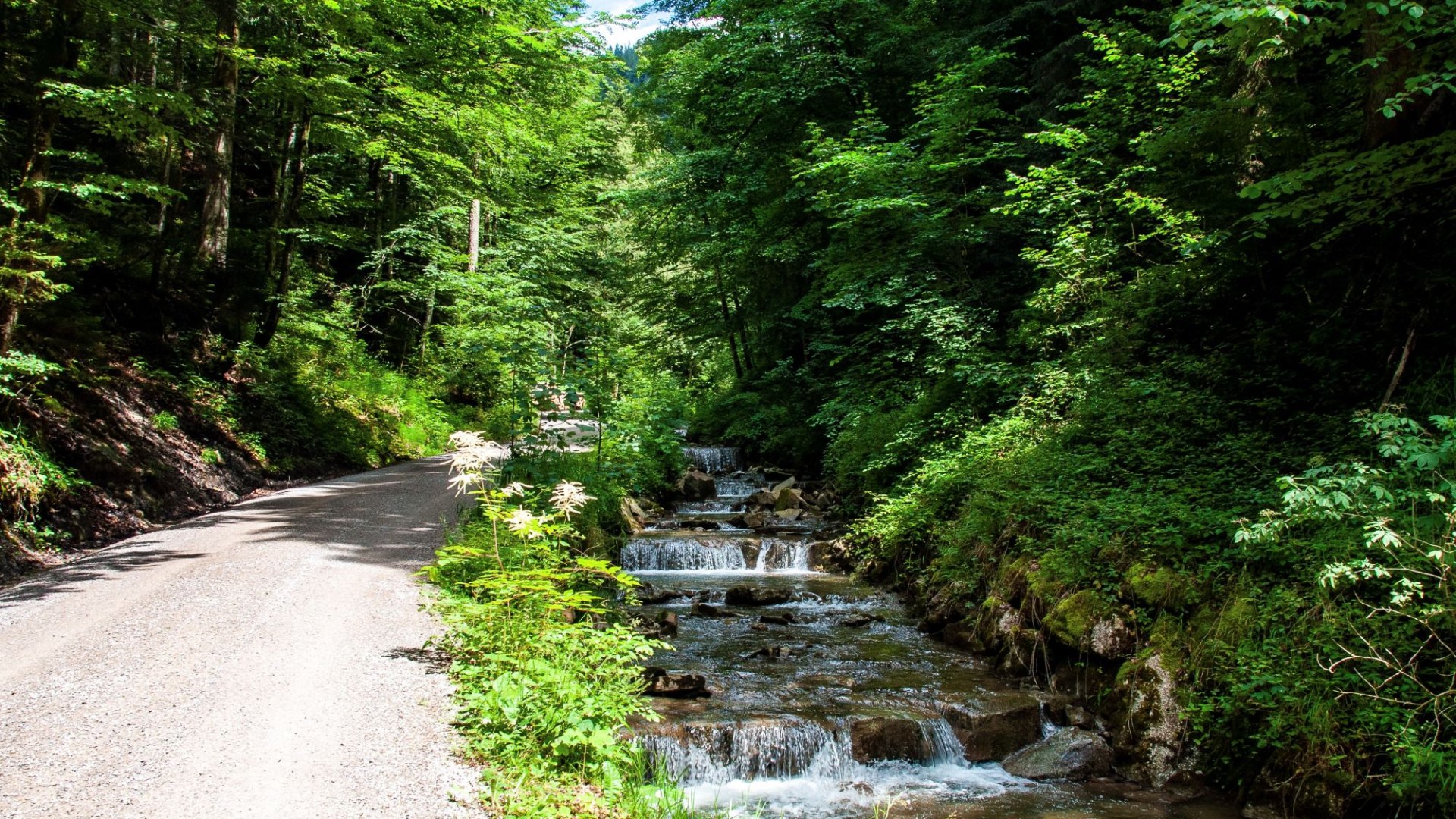 TTT_0720_SZM_Aktiv_Alpbachtal_Tegernsee-0001 2, © Der Tegernsee (Sabine Ziegler Musiol)
