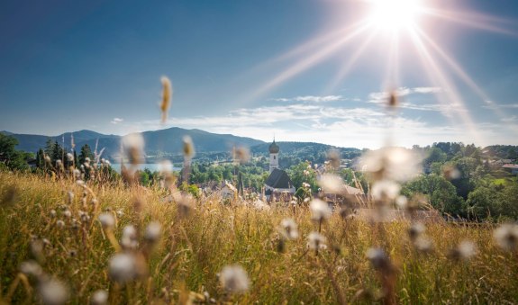 thf_heilige-heilkraeuter_dietmar-denger, © Der Tegernsee (Dietmar Denger) thf_heilige-heilkraeuter_dietmar-denger, © Der Tegernsee (Dietmar Denger)