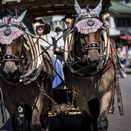 Rosstag Rottach Egern, © Hansi Heckmair