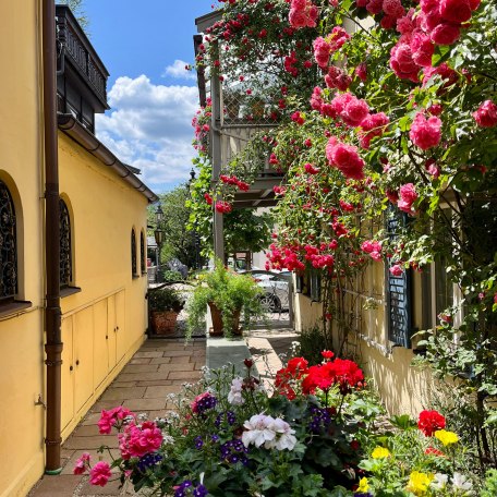 Herzlich Willkommen in der FeWo Rosenstraße, © FeWo Rosenstraße