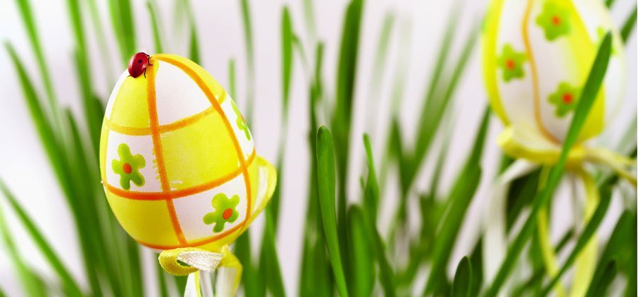 Visual_Ostermarkt Visual_Ostermarkt