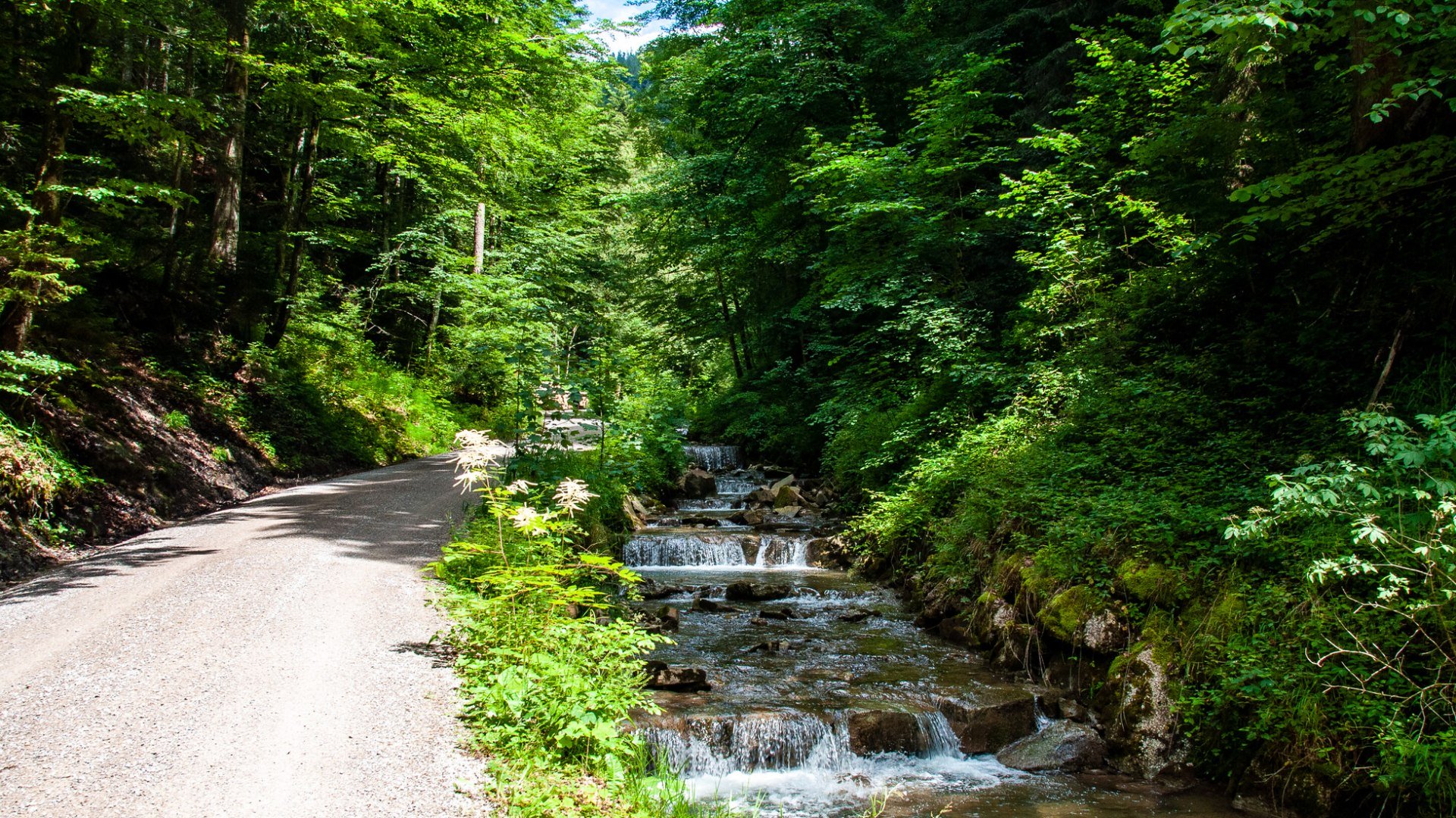 Alpbachtal, © Der Tegernsee (Sabine Ziegler-Musiol)