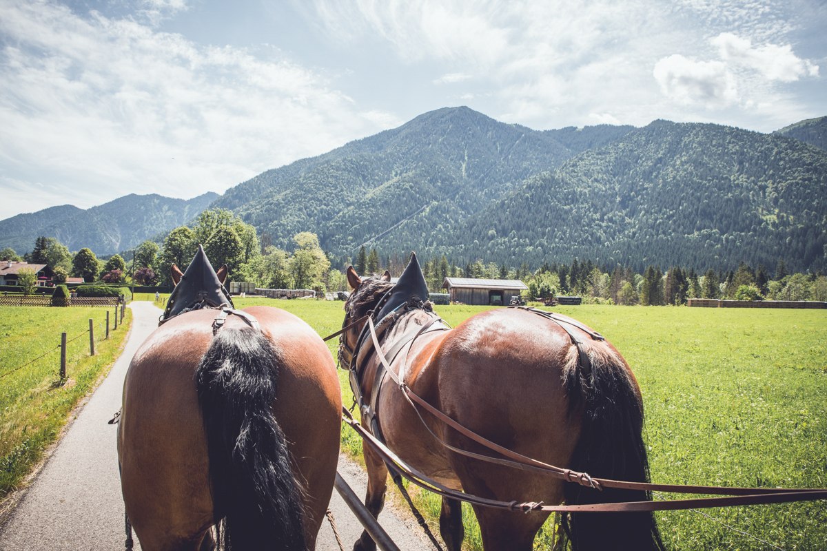 TTT_0619_MM_Brauchtum_Pferdekutschenfahrt_Rottach-0005, &copy; DER TEGERNSEE