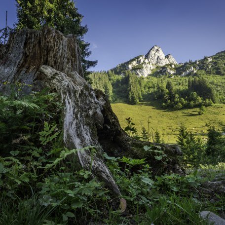 Tegernseer Hütte - Bergsteigerdorf Kreuth, © Der Tegernsee