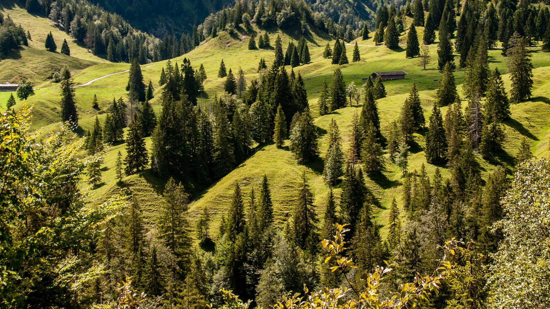 Natürlich! Kreuth. Almwanderung, © DER TEGERNSEE