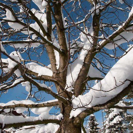 G&auml;stehaus H&ouml;pfl - Winterm&auml;rchen in ruhiger und sonniger Lage am Fusse des Wallbergs, &copy; GERLIND SCHIELE PHOTOGRAPHY TEGERNSEE