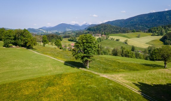 Blick Richtung Wendelstein, © Alpenregion Tegernsee Schliersee Blick Richtung Wendelstein, © Alpenregion Tegernsee Schliersee