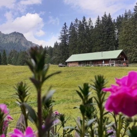 Hauseigene Alm Schwarzetenn, © Gästehaus Kleinbuch