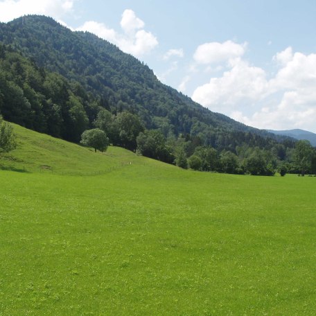 Ihre Aussicht von der Terrasse, © im-web.de/ Tourist-Information Kreuth