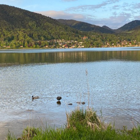 https://images.bs.ds-srv.net/objekt_pics/obj_full_82669_010.jpg, &copy; im-web.de/ Tourist-Information Bad Wiessee