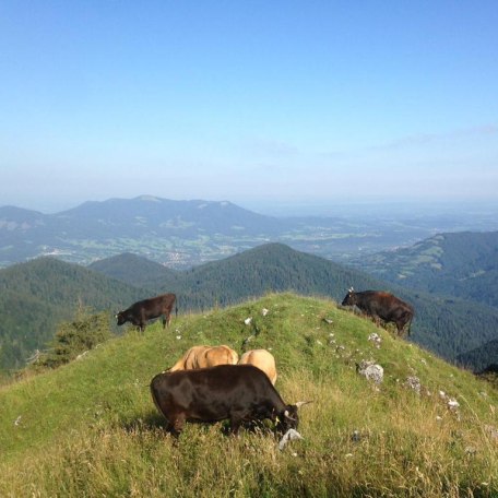 Sperrhof EKF, &copy; Daniel Delang