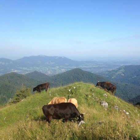 Sperrhof EKF, &copy; Daniel Delang