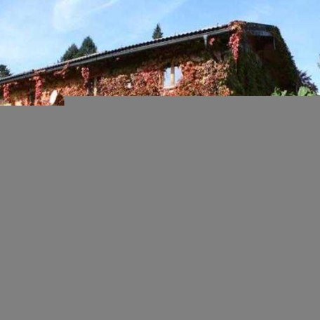 Blick auf die FeWo-Südseite mit Bewuchs von Wildem Wein, © im-web.de/ Tourist-Information Gmund am Tegernsee