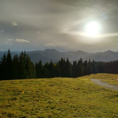 img-20181029-wa0002 img-20181029-wa0002