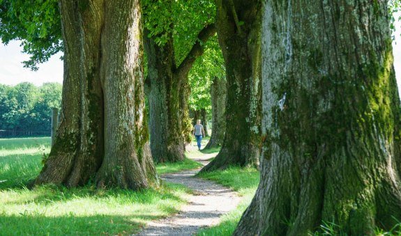 Holzkirchen, © Alpenregion Tegernsee Schliersee Holzkirchen, © Alpenregion Tegernsee Schliersee